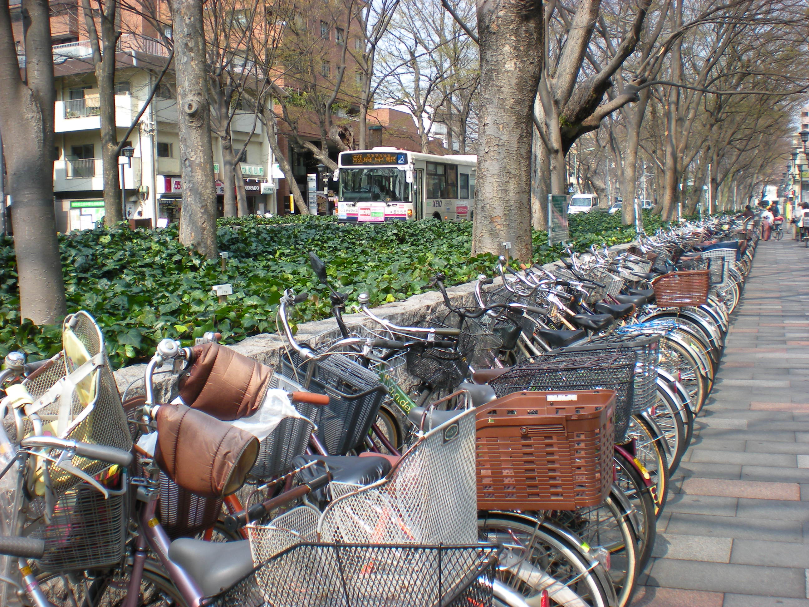 府中駅前けやき並木通り「ちょこりんスポット」の甲州街道より南側が