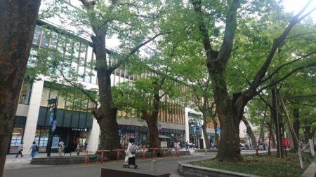 府中市 中心市街地活性化ビジョンの内容の更新、中間報告書の作成へ・・令和８年度予算から（府中市議会議員　国民民主党　ゆうきりょう）