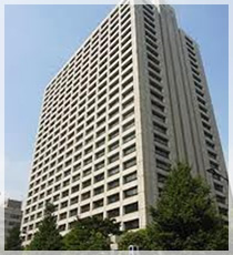 府中市 ひとり暮らし高齢者・・厚労省が身寄りのない一人暮らし高齢者への行政サービス支援策を実施へ（府中市議　国民民主党　ゆうきりょう）
