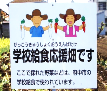 府中市 学校給食 地場産野菜を積極活用・・地場産野菜を出荷する農業者に、経費の助成制度を創設（府中市議会議員　国民民主党　ゆうきりょう）